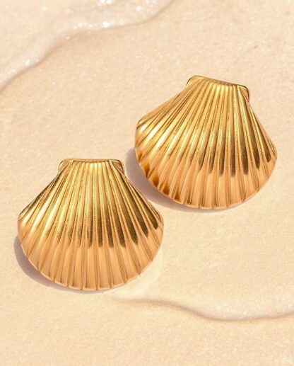 Arete concha marina